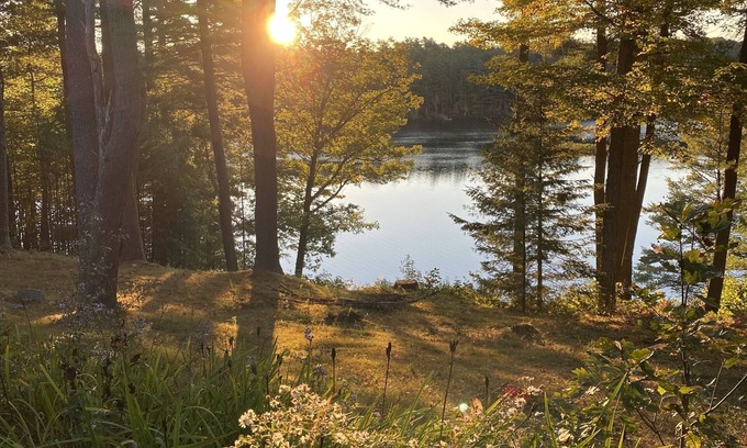 Newcastle House | Picturesque Lakefront Log Home with Private Dock - Close to everything!