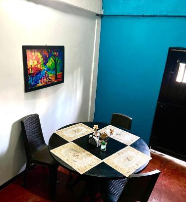 Luna Park Apartment | Pinck House