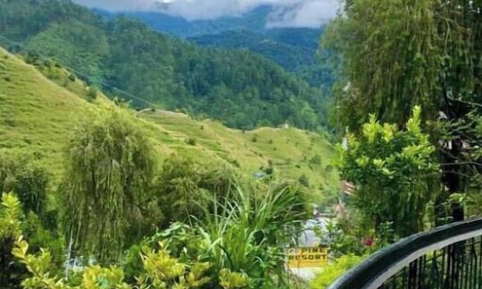 Pithoragarh Hotel | Pine Resort