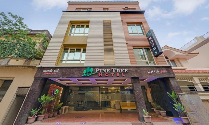 Thousand Lights Hotel | Pine Tree Boutique Hotel