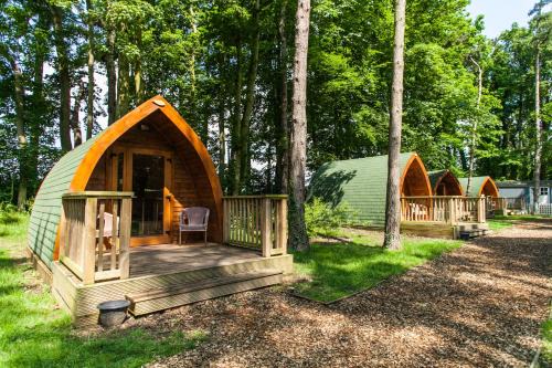 Hythe Other | Pinewood - At Port Lympne Reserve