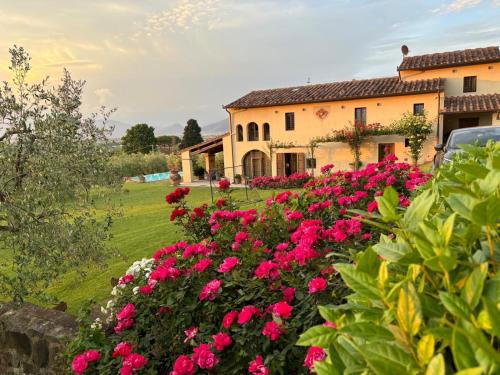 Signa Apartment | Podere agli Arrighi