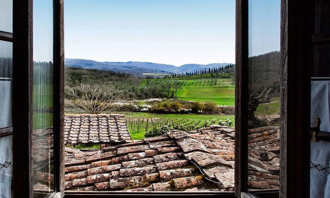 Radda in Chianti Other | Podere Terreno alla Via della Volpaia