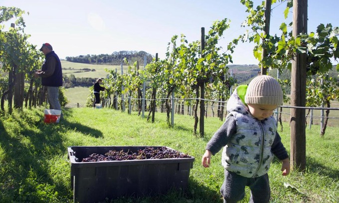 Trevinano Apartment | podere tina