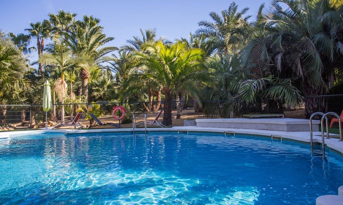 Alicante Apartment | Pool and Jacuzzi surrounded by palm trees, tranquility and open air