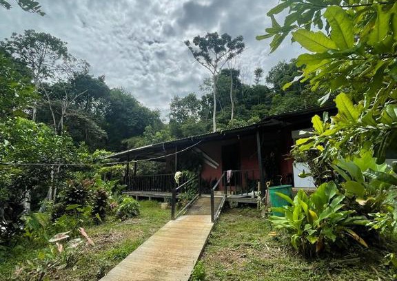 Drake Bay Bed & Breakfast | Posada Don Juan