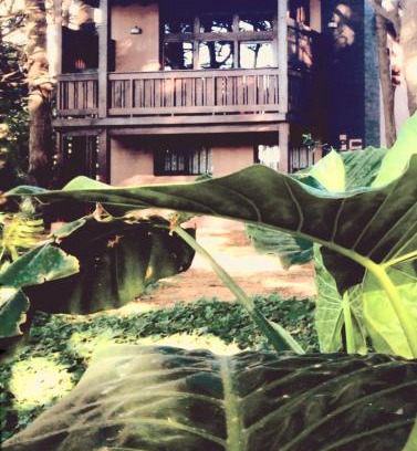 Mar del Plata Cabin | Posta Chimango, Cabañas frente al Golf Los Acantilados