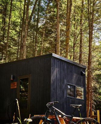 Larue Other | Postcard Cabins Piney Woods, Outdoor Collection by Marriott Bonvoy