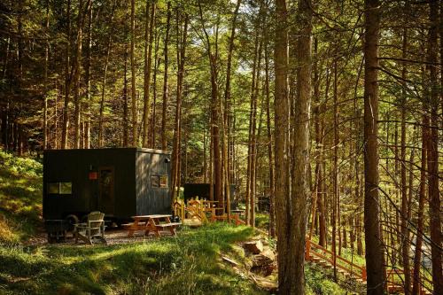 Town of Colchester Other | Postcard Cabins Western Catskills, Outdoor Collection by Marriott Bonvoy