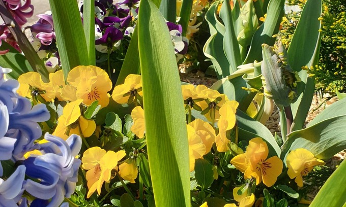 Ecole-Valentin Hotel | Premiere Classe Besancon - Ecole Valentin