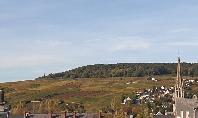 Epernay House | Pretty house for 6 people Epernay meme