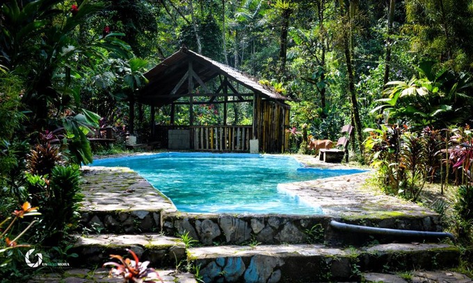 Penas Blancas Cabin | Princesa de la Luna Ecolodge