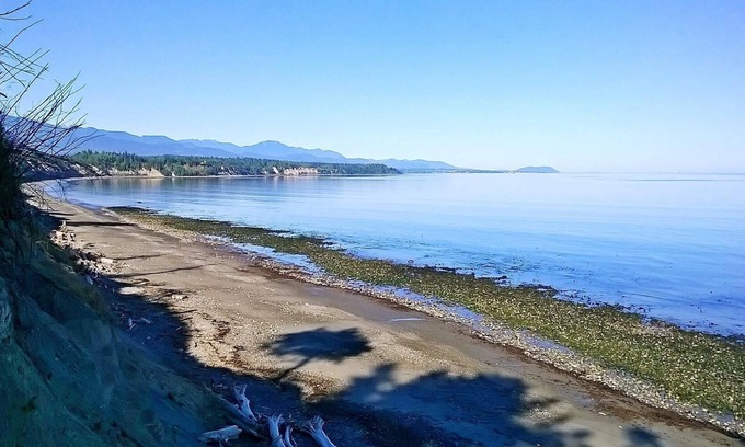 Clallam County House | Private Beach Access Trail And Peaceful Wooded Setting