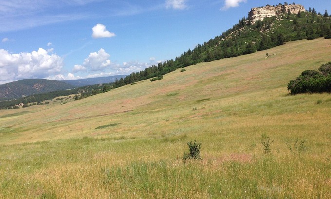 Larkspur House | Private, quiet, modern ranch retreat!