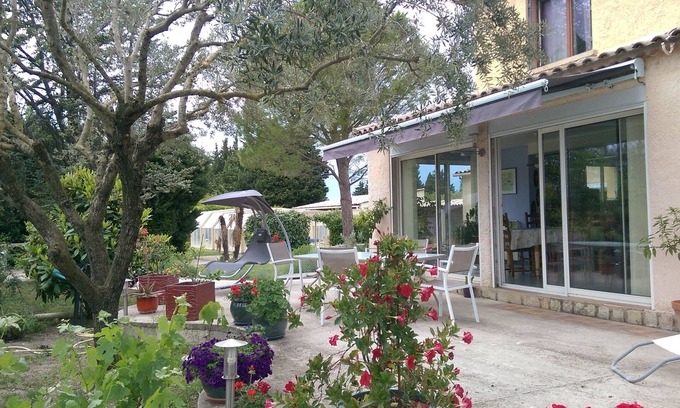 Sarrians House | Provencal cedar 3000 m² property with pull-out pool
