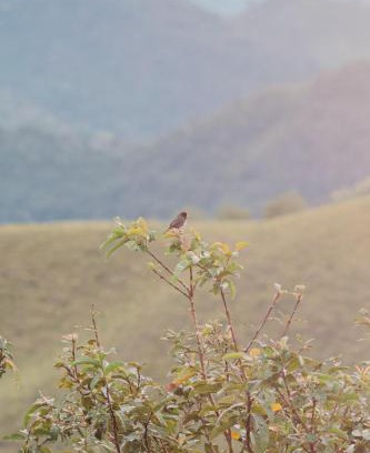 Anserma Other | Puertas de San Pedro Hospedaje Campestre