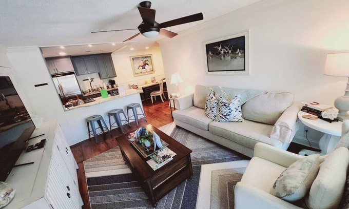 Demere Park Condo | Q4 Professionally decorated, 1 king, 1 queen bed