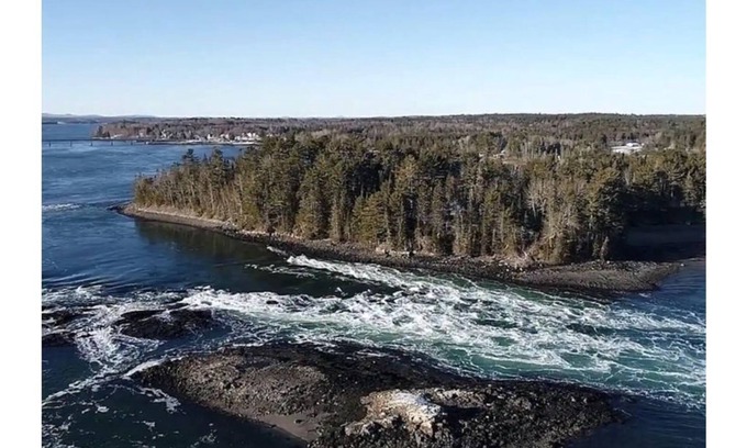 Hancock House | *Quaint 3-Bedroom Cape* Walk to reversing falls!