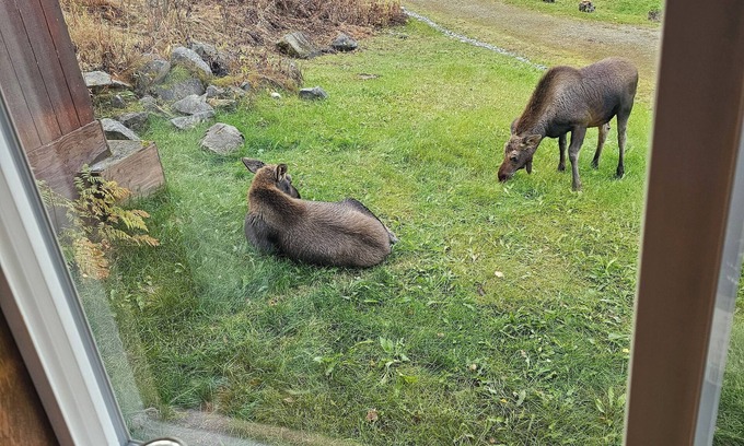 Sutton House | Quiet 3 bedroom house/cabin. 2 miles off Glenn hwn on Fish Lake Rd.