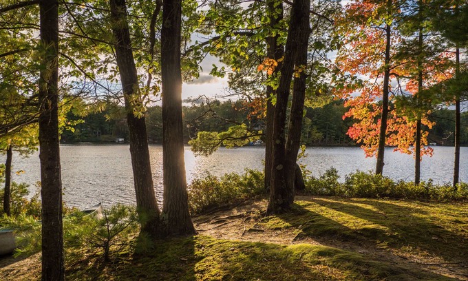 Mayfield Cottage | Quiet and Peaceful 3 Bedroom Family Cottage on Lake George, 12 Miles to TC