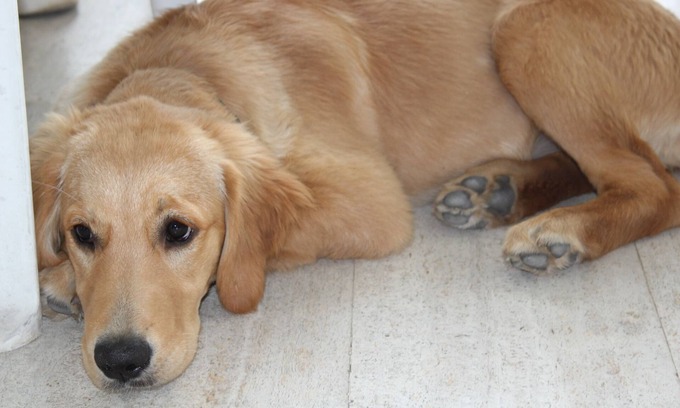 Saint-Martin-la-Garenne House | Quiet Cottage BNB, Maison Paisible du Vexin, Chez Candy