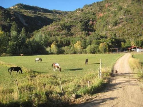 Glendale House | Quiet Canyon Starry Nights HappyOurs Ranch Bunk Family Home