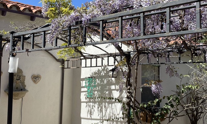 Mount Helix Cottage | Quiet Casita in natural setting 10 minutes to SDSU