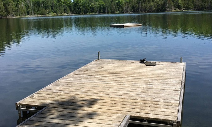 Faraday Cabin | Quiet lakefront cottage 15 mins from Bancroft
