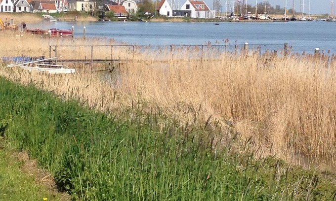 Amsterdam North Apartment | quiet studio on the IJsselmeer
