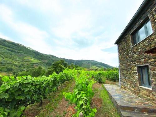 Vila Real Villa | Quinta do Enxertado