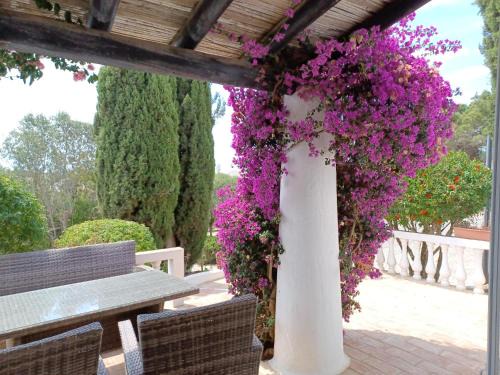 Mato Serrao House | Quinta do Paraíso - Casa Colynda