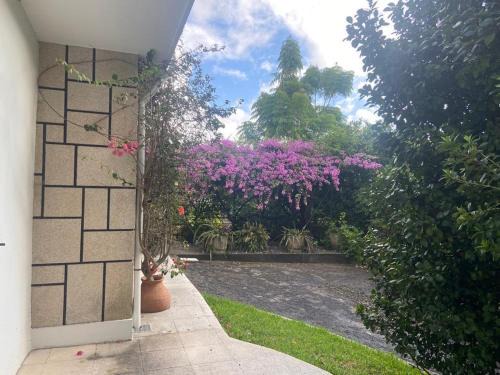 Sever do Vouga House | Quinta do Vale Vaqueiro