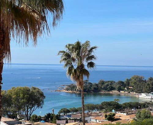 Ajaccio Apartment | Quintessenza Casa in Ajaccio