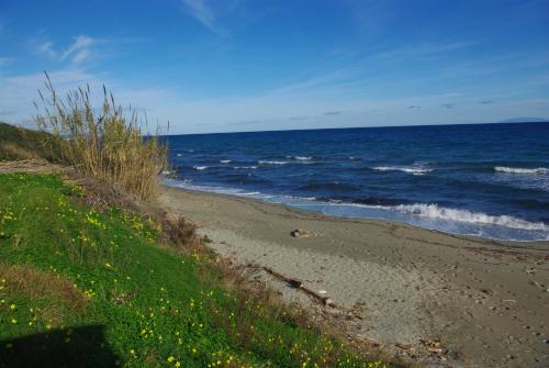 Prunete House | Résidence A NUCIOLA Les pieds dans l'eau Cervione Hte CORSE