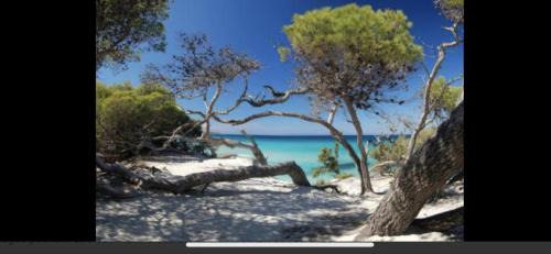 Oletta Apartment | Résidence calme à 2 km de Saint-Florent