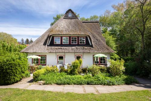 Manhagen House | Reetdachhaus mit Nähe zur Ostsee, Außensauna, Spielplatz & großem Garten