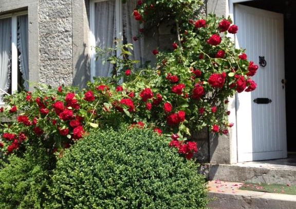 Ny House | Relax à Maison Sax Kingsize