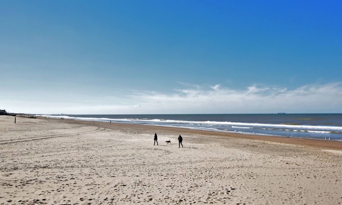 Municipality of Noordwijk House | Relax in Your Holiday Home With Sauna, Near the Beach of Noordwijk