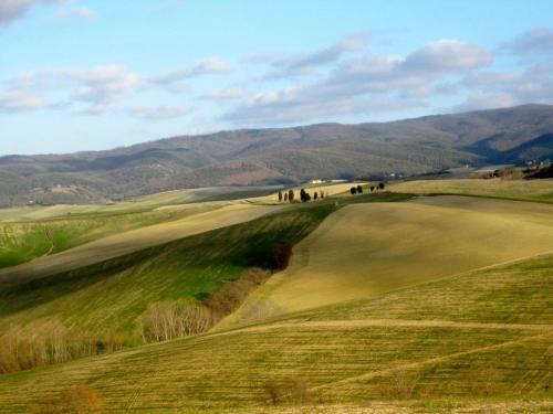 Orciano Pisano House | Relax nella meravigliosa campagna Toscana ad un passo dal mare