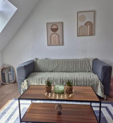 Antrain Apartment | Relaxing Break and Garden