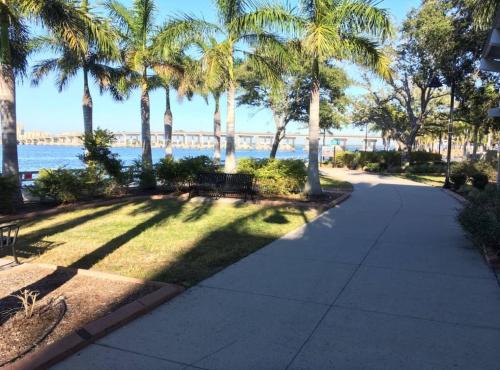 Palmetto House | Relaxing Pool Side - Near Fairgrounds