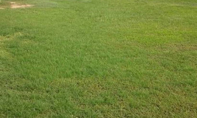 Bocachica Cottage | RENTAL JILYMAR CABIN. SANTANA BARÚ