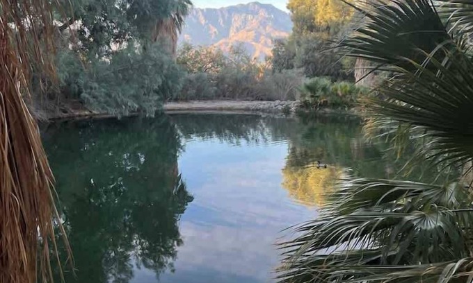 Desert Hot Springs Villa | Reserve The Entire Ranch | up to 28 guests