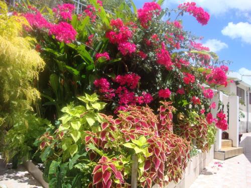 Port-Louis House | Residence Madelia