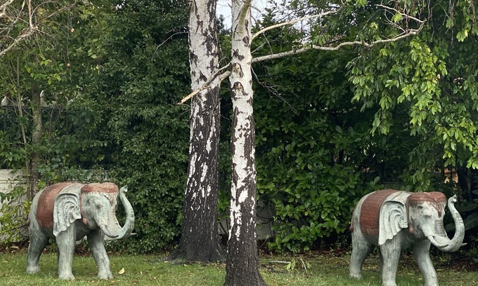 San Rafael House | Resort living in Marin ! Golf , tennis , swimming!