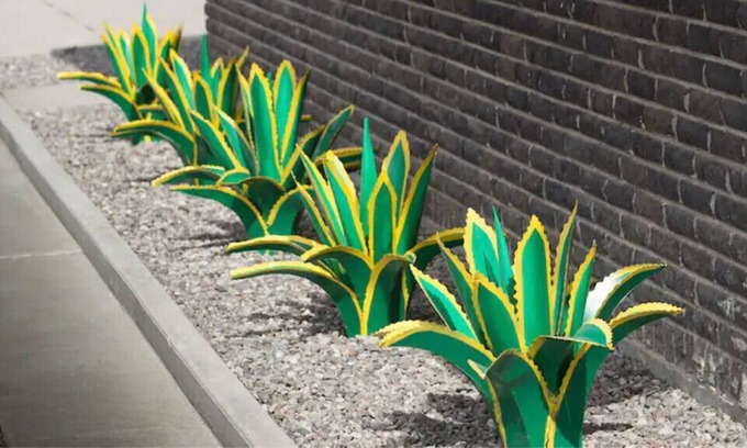 Biggs Field House | Rest/Play/Enjoy