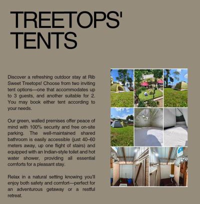 Shillong Other | Rib Sweet Treetops Bed and Breakfast Tents 2 pax