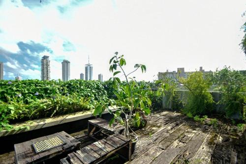 Kolonnawa Apartment | RIPA Urban Hideout