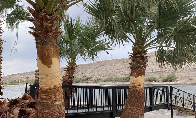 Laughlin Apartment | Riv a holic