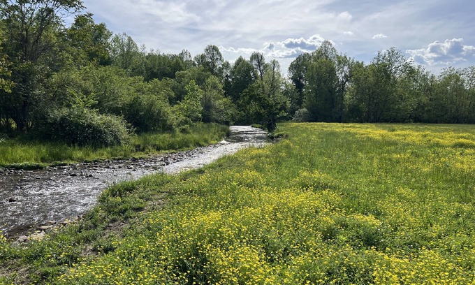 Andrews Other | River Stone Farmhouse on 35 acres with trout stream